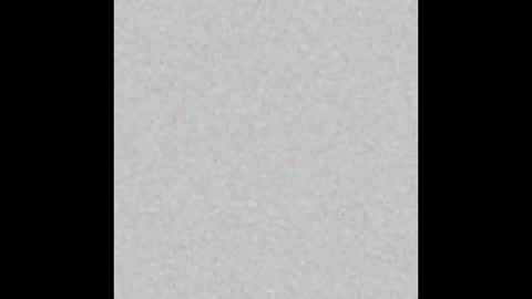 Snapshot of shiningstarrr chatting on 12/29/24, 12:23 Nika online show from 12/29/24, 12:23