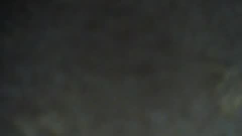 shinshin1177 online show from 07/03/26, 07:53