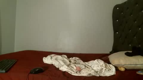 Shi-ro online show from 02/07/26, 10:52