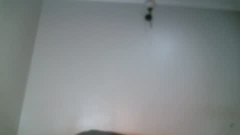 Snapshot of shiro254 chatting on 07/27/26, 12:50 Shi-ro online show from 07/27/26, 12:50
