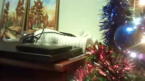 shirogane2004 online show from 01/09/26, 07:15