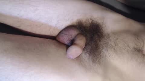 shototto online show from 11/02/25, 08:39