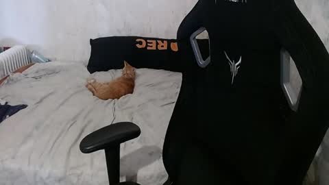 show_for_you online show from 04/23/26, 01:57