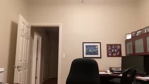 Chicago Guy online show from 02/16/25, 04:31