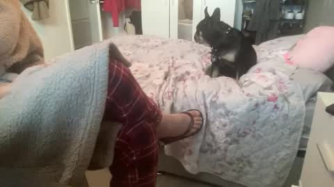 shyboy0533 online show from 11/03/25, 10:49