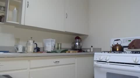 Shyla syn1 online show from 05/19/26, 07:20