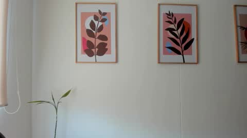 shylittlebunny online show from 02/11/26, 02:33