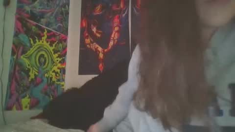 RBXs Princess online show from 12/18/24, 03:47