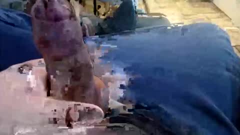 shynessy online show from 12/15/25, 01:10