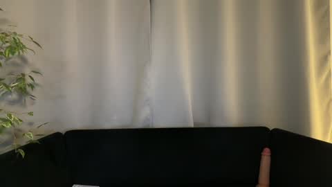 Amelia online show from 12/16/24, 07:10