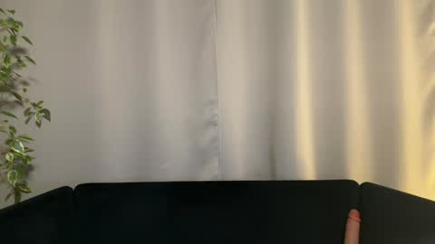 Amelia online show from 01/29/25, 07:00