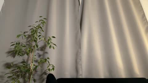 Amelia online show from 02/03/25, 07:10