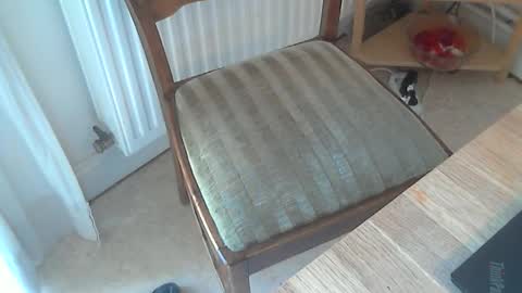 Seba online show from 03/04/25, 11:19