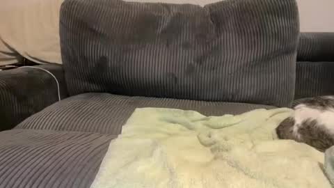 Call Me Yours online show from 04/28/26, 07:35