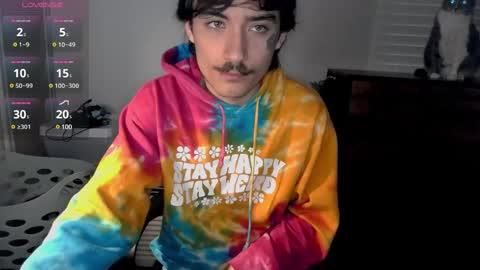 Snapshot of silly_cybin chatting on 01/14/25, 12:24 cybin online show from 01/14/25, 12:24