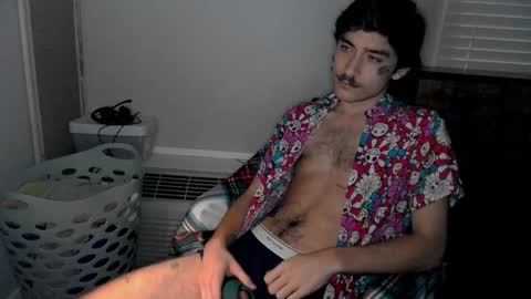 Snapshot of silly_cybin chatting on 01/17/25, 11:17 cybin online show from 01/17/25, 11:17