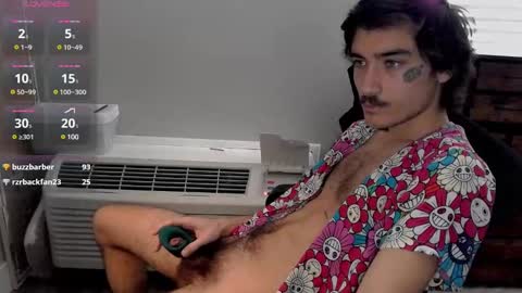 Snapshot of silly_cybin chatting on 01/20/25, 04:12 cybin online show from 01/20/25, 04:12