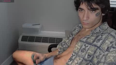 Snapshot of silly_cybin chatting on 01/31/25, 03:11 cybin online show from 01/31/25, 03:11