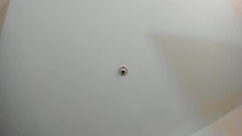 silvabranko online show from 11/02/25, 11:07