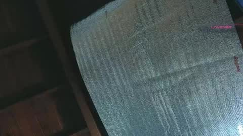 silvabranko online show from 04/13/26, 01:11