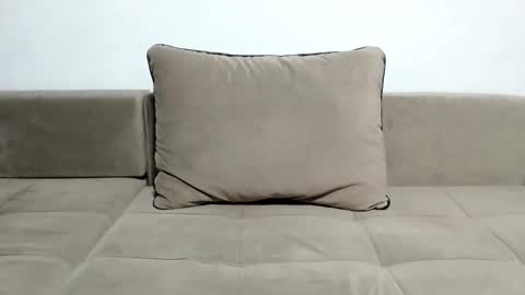 Sir online show from 01/29/25, 04:08