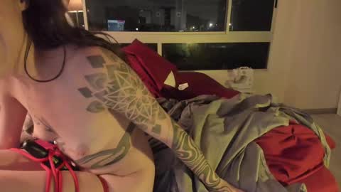 silverhase1 online show from 02/22/25, 06:06