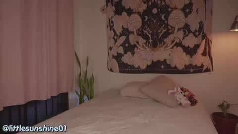 Snapshot of simon_bane01 chatting on 12/09/24, 09:16 Little Sunshine online show from 12/09/24, 09:16