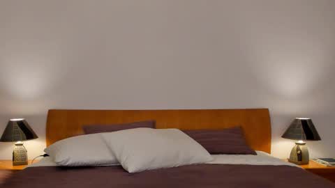 Snapshot of simonadebeauvoir chatting on 11/14/25, 12:15 Simona online show from 11/14/25, 12:15