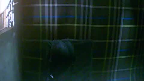 simply__me online show from 02/16/26, 12:07