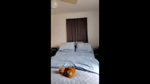 Snapshot of simplysarah1225 chatting on 02/17/26, 04:24 simplysarah1225 online show from 02/17/26, 04:24