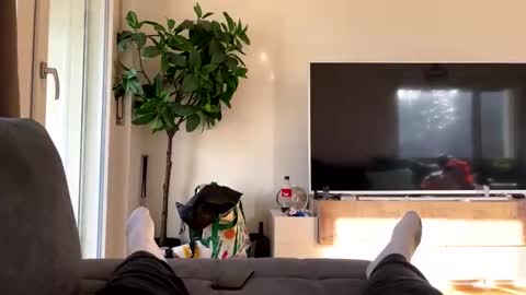 sincarro online show from 11/19/25, 11:21