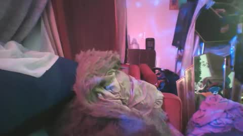 Snapshot of siofra chatting on 02/24/25, 02:19 Siofra online show from 02/24/25, 02:19