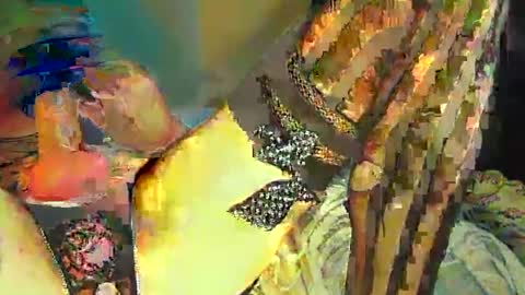 Snapshot of sir__loin411 chatting on 02/20/25, 05:07 Sir Loin online show from 02/20/25, 05:07