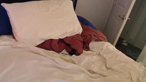 Snapshot of sirbeercan chatting on 03/10/25, 05:54 sir beer can the friendly hermit online show from 03/10/25, 05:54