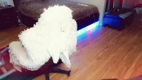 Ashleigh Mak online show from 04/21/26, 11:51