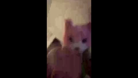 sissyboyinheels online show from 06/01/26, 01:35