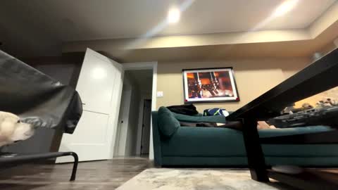 sissyinheelsbbc online show from 11/09/25, 02:21