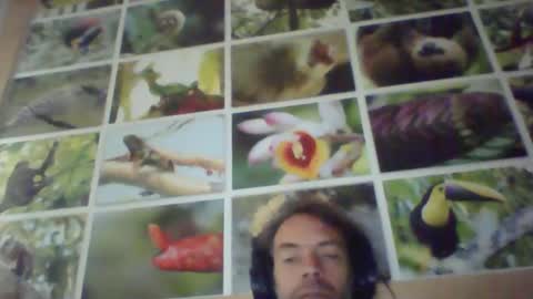 Snapshot of sji123 chatting on 02/22/25, 06:06 sji123 online show from 02/22/25, 06:06