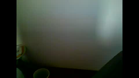 Snapshot of skater19xxx chatting on 03/07/25, 04:11 miguel online show from 03/07/25, 04:11