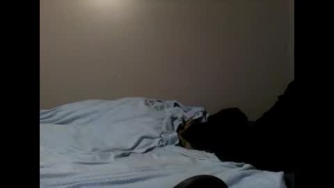 Snapshot of skeeter4fun73 chatting on 01/17/25, 06:12 skeeter4fun73 online show from 01/17/25, 06:12