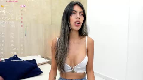 Snapshot of skinny_noa chatting on 09/20/25, 11:33 Noa online show from 09/20/25, 11:33