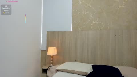 Snapshot of skinny_noa chatting on 11/15/25, 11:29 Noa online show from 11/15/25, 11:29