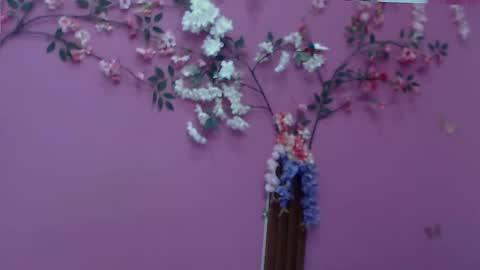 Snapshot of skinnybarbie022 chatting on 12/02/25, 12:49 barbi online show from 12/02/25, 12:49