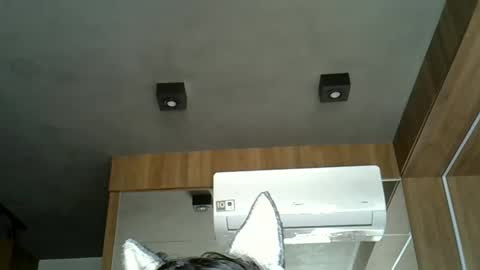 skinnykittencam online show from 09/21/25, 05:14