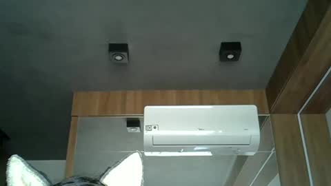 skinnykittencam online show from 10/03/25, 11:51