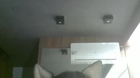 skinnykittencam online show from 10/05/25, 12:53