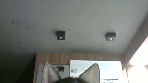 skinnykittencam online show from 10/24/25, 02:08