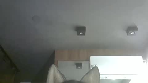 skinnykittencam online show from 11/25/25, 01:16