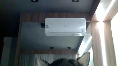 skinnykittencam online show from 02/11/26, 02:49