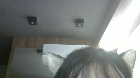 skinnykittencam online show from 04/14/26, 03:01